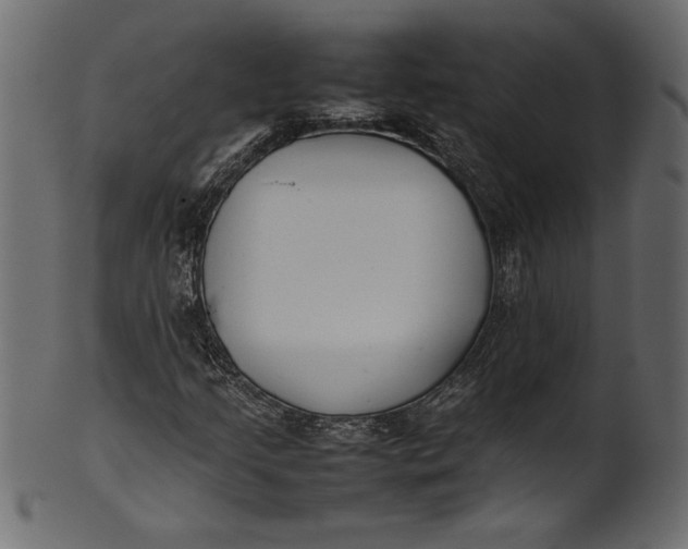 X0000101221205200807181544