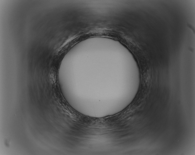 X0000101221206200807181544