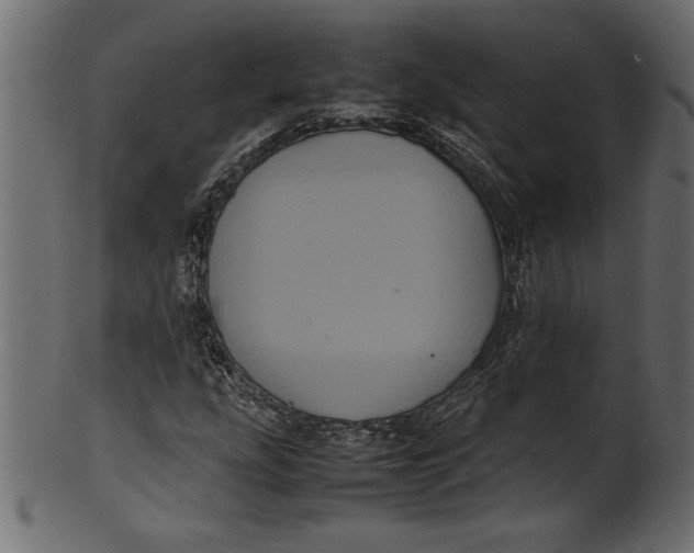 X0000101221207200807181544