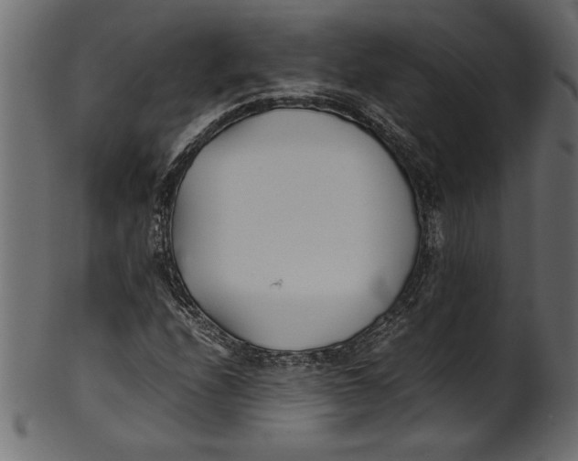 X0000101221208200807181544