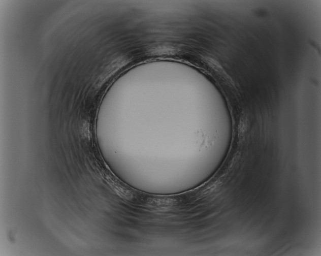 X0000101221209200807181544