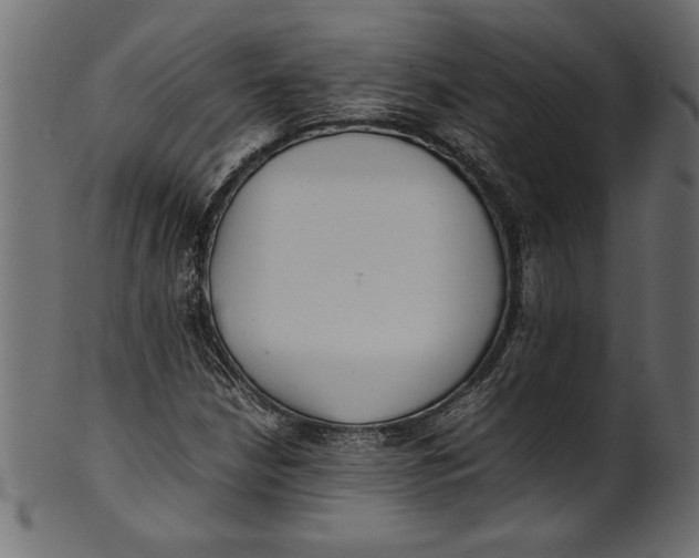 X0000101221210200807181544