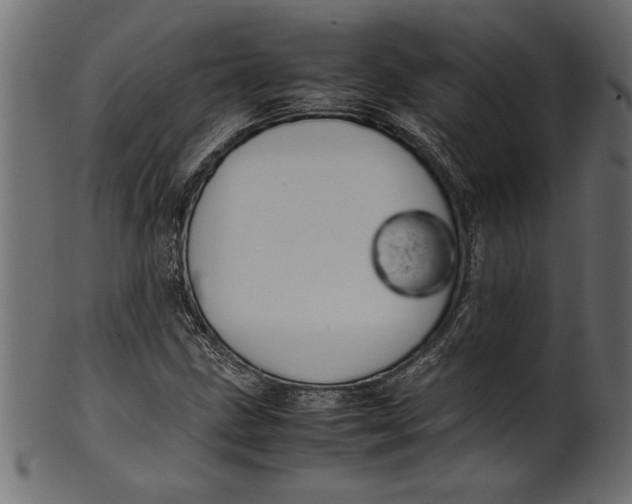 X0000101221211200807181544
