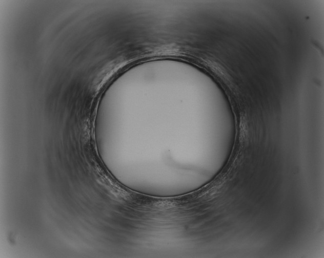 X0000101221212200807181544