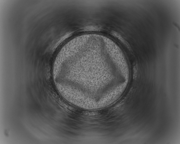 X0000101221213200807181544