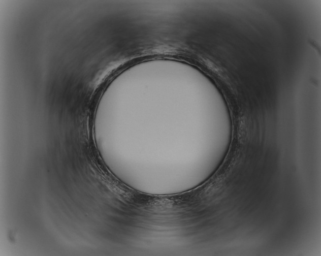 X0000101221214200807181544