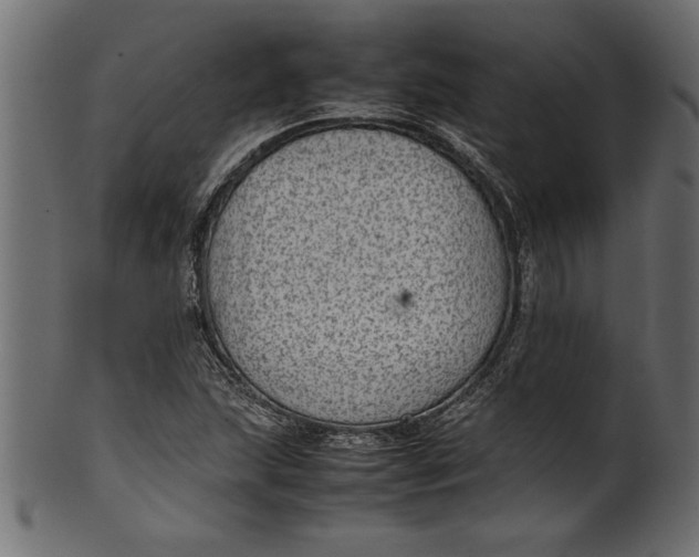 X0000101221215200807181544