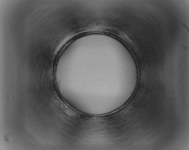 X0000101221216200807181544
