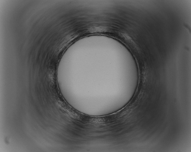 X0000101221217200807181544