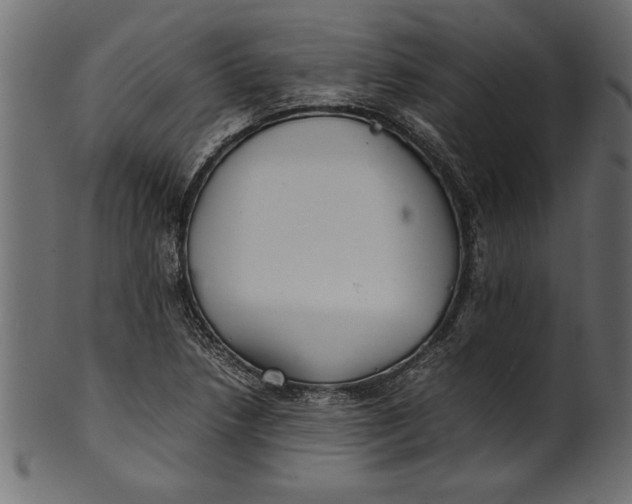 X0000101221218200807181544