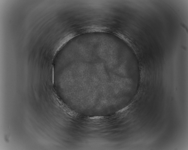 X0000101221219200807181544