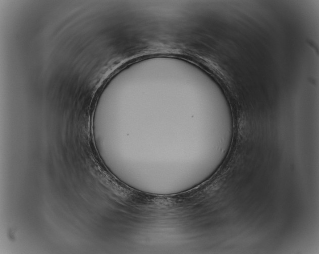 X0000101221220200807181544