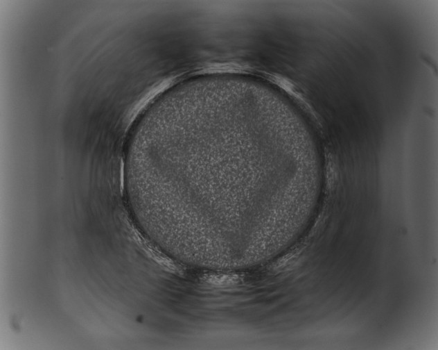 X0000101221221200807181544