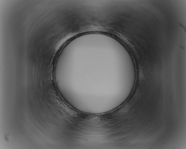 X0000101221222200807181544