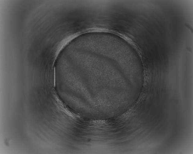 X0000101221223200807181544