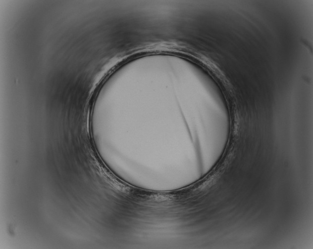 X0000101221224200807181544