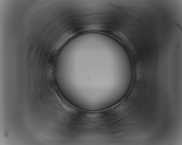 X0000101221225200807181544