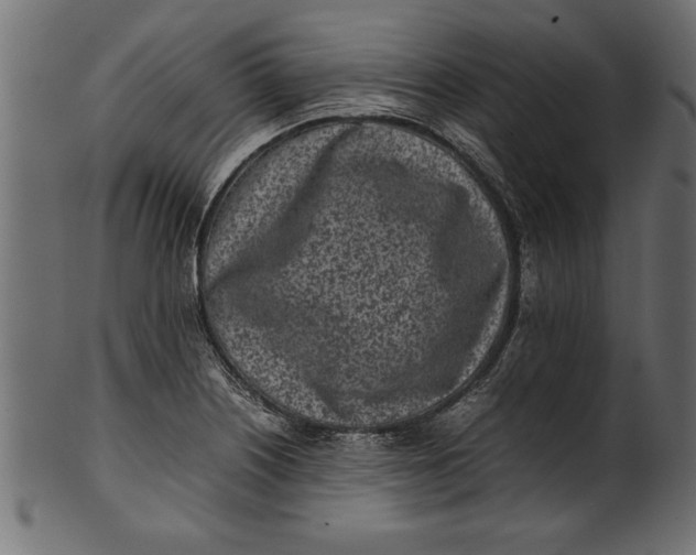 X0000101221226200807181544