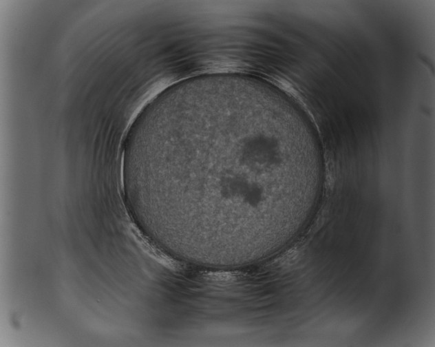X0000101221227200807181544