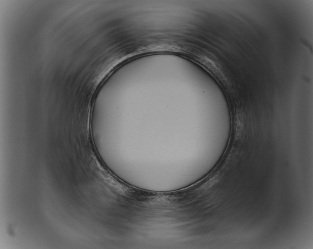 X0000101221228200807181544
