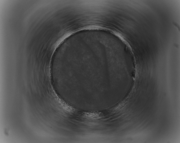 X0000101221229200807181544