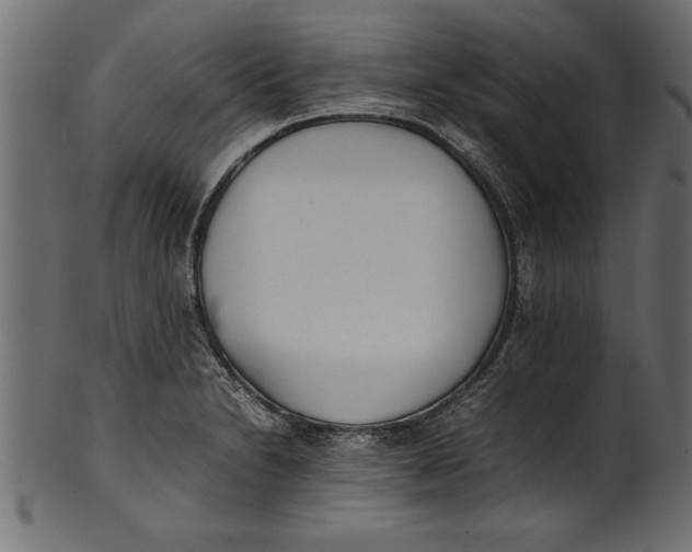 X0000101221230200807181544