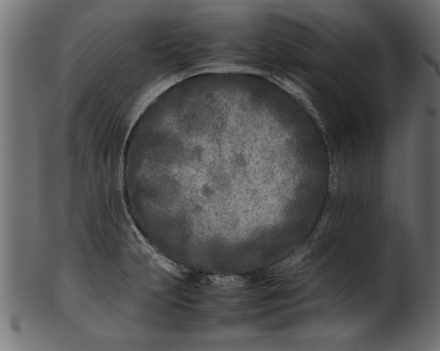 X0000101221231200807181544