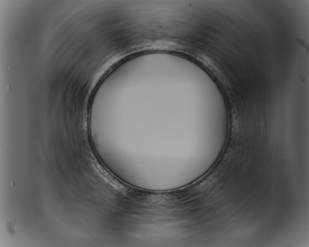 X0000101221232200807181544