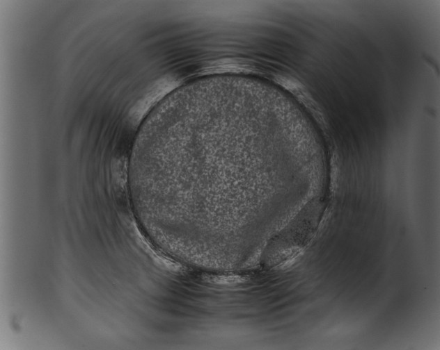 X0000101221233200807181544