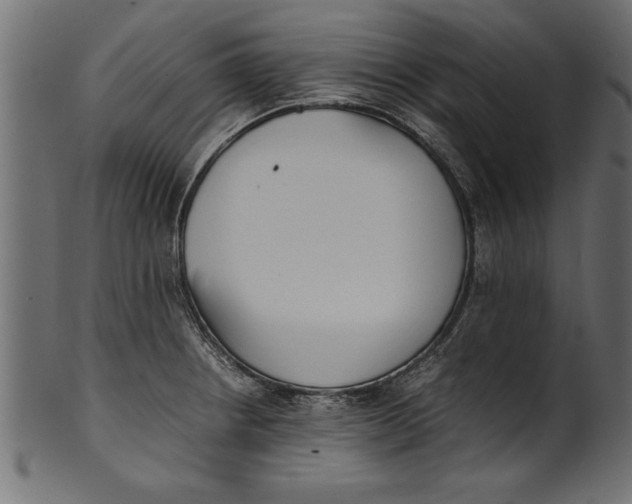 X0000101221234200807181544