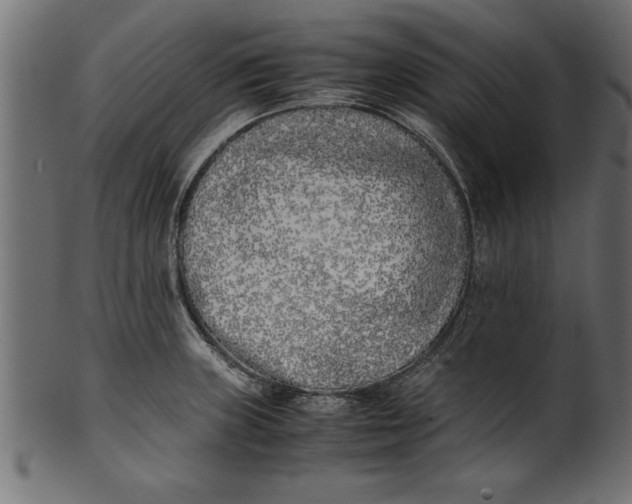 X0000101221235200807181544