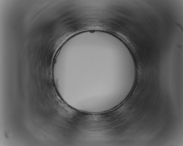 X0000101221236200807181544