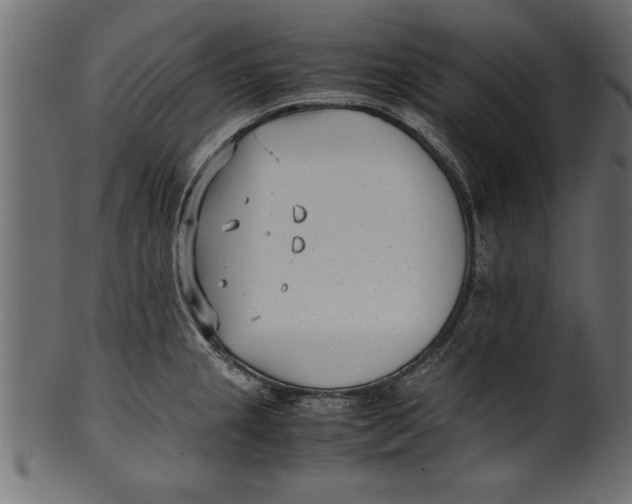 X0000101221237200807181544