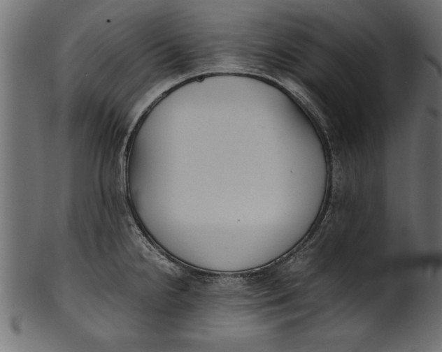 X0000101221238200807181544