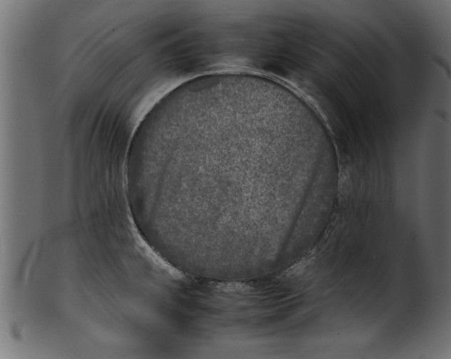 X0000101221239200807181544