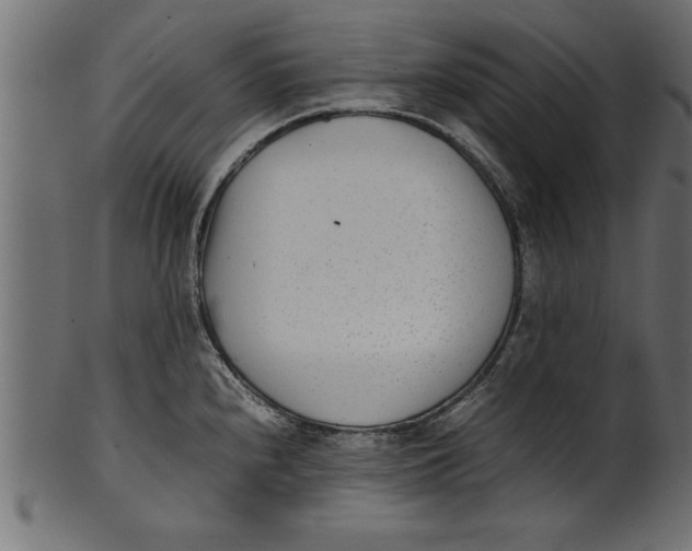 X0000101221240200807181544