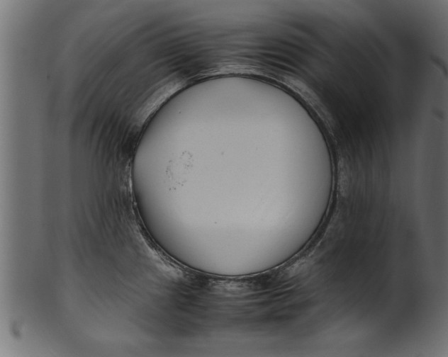 X0000101221241200807181544