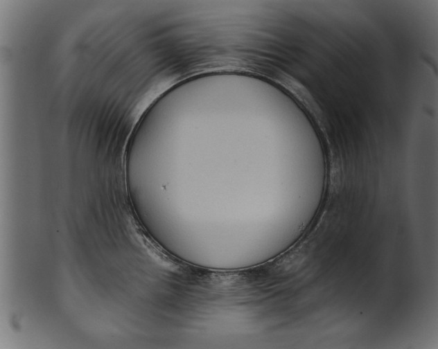 X0000101221242200807181544