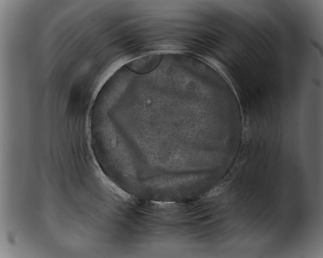 X0000101221243200807181544