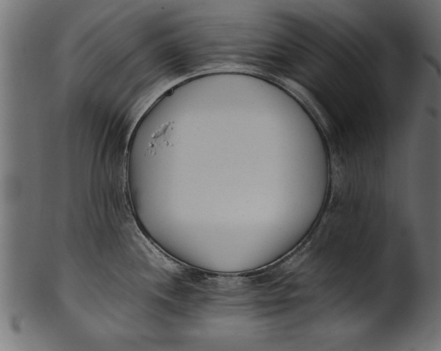 X0000101221244200807181544