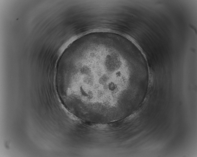X0000101221245200807181544