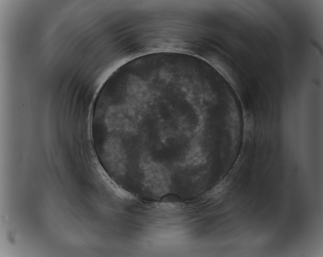 X0000101221246200807181544