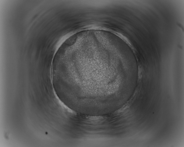 X0000101221247200807181544