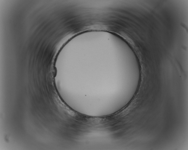 X0000101221248200807181544