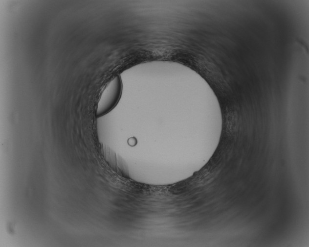 X0000101221249200807181544