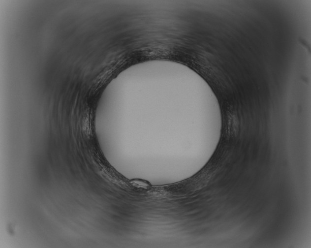 X0000101221250200807181544