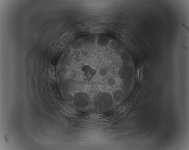 X0000101221251200807181544