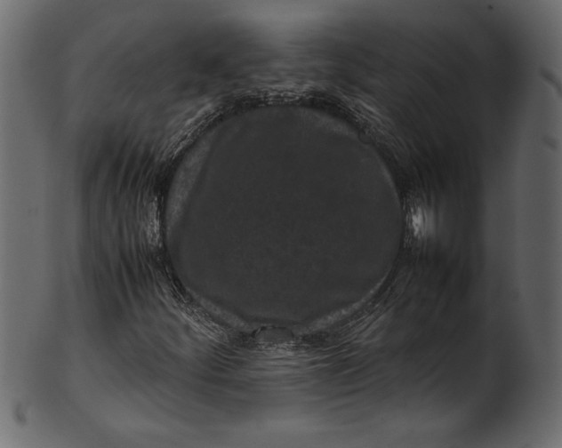 X0000101221252200807181544