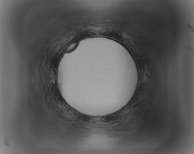 X0000101221253200807181544
