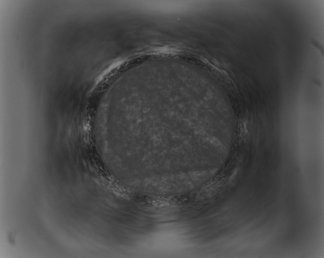 X0000101221254200807181544